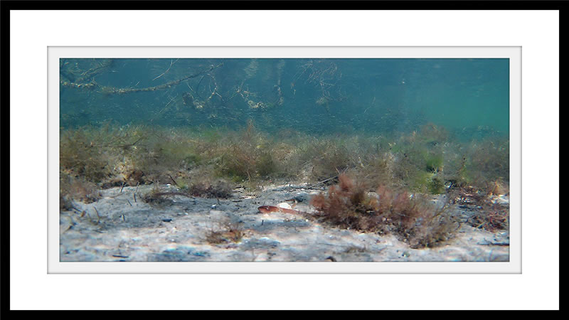 Moment   ROV imaging art gallery