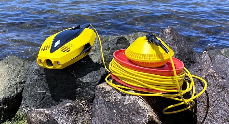 chasing innovation dory